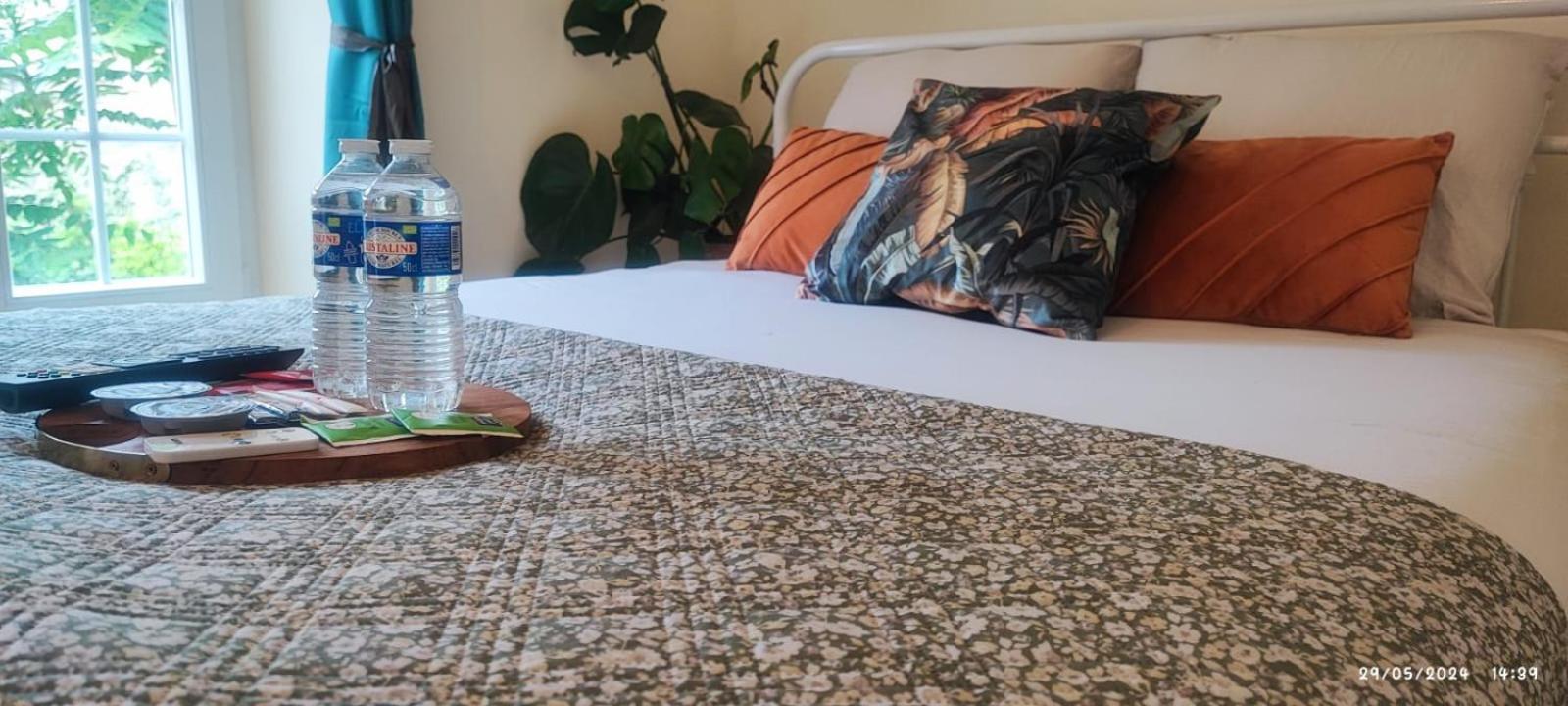 Le Cocoon Dore Poitiers Luaran gambar